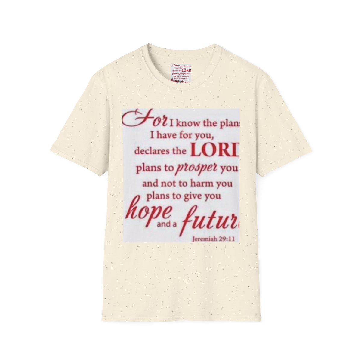 Christian Scripture T‑Shirt — "For I Know the Plans" Jeremiah 29:11 Inspirational Tee