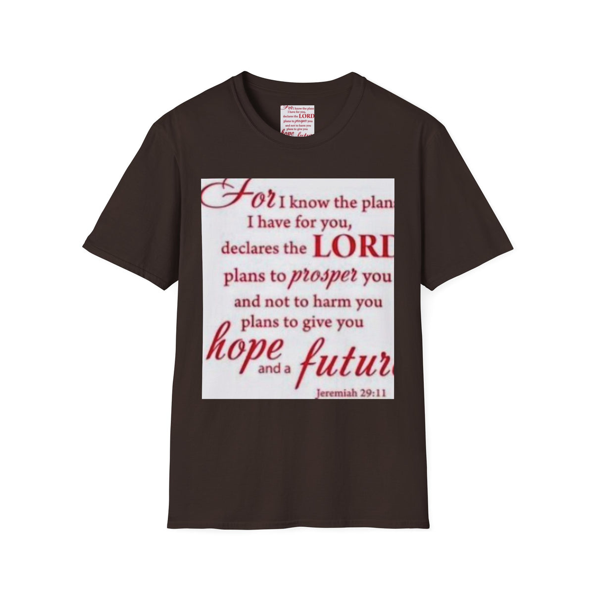 Christian Scripture T‑Shirt — "For I Know the Plans" Jeremiah 29:11 Inspirational Tee